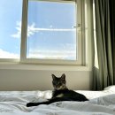 (주)오르카 이미지