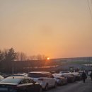 낭만사시미 이미지