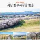 호우목장 이미지