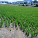 월항면행정복지센터 이미지