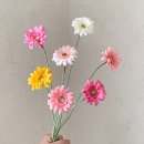 치평동 행정복지센터 | 광주실버통합전문강사/ 광주 치평동 행정복지센타 숟가락난타교실 길거리버스킹~~~^^