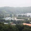 (주)올가니카 이미지