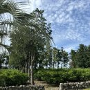 선셋티아 | [제주 숙소] 선셋티아 : 제주감성숙소 내돈내산 후기 🏡