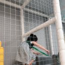 강서 명동전가 이미지