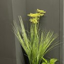 짐포레스트 이미지