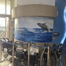 고래생태체험관 화장실 이미지