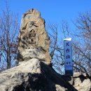 [2025년 4월 4주(4/27)] 충북의 설악! &#34; 천태산 &#34; 산행안내(100명산 인증) 이미지