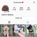 슈앤트리 이미지