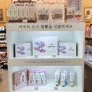 터미널 맥주·커피