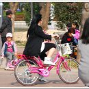 금정체육공원경륜장 이미지