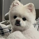 톡스미의원 이미지