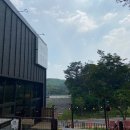 댕댕이블루스 이미지