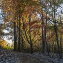 진덕사입구 이미지