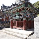 충정