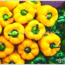 서울모담치과의원 이미지