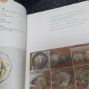 매일반찬 이미지