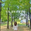 걸포중앙공원 | 김포 가볼만한곳 걸포중앙공원 김포 나들이 갈만한곳