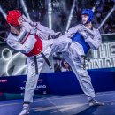 스마트 태권도 이미지