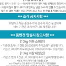 독독펜션 네이버블로그