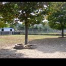 아이엠독 이미지