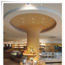 발리스파테라스5 이미지