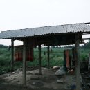 영산강·금강하구 생태복원, 새로운 국정과제로 나아가야