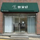 장화신은 고양이 & 강아지 미용 | 대구고양이미용 밀꼬냥에서 브리티쉬숏헤어 첫미용 대성공