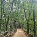 낙성대역 5번출구 이미지