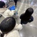 씨노미디어 | 햄부기햄부스탁스햄복한2025