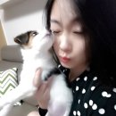 선우회관 이미지