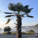 VIP우리약국 이미지