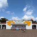 에코농장 | 제주 에코랜드 7살 5살 아이랑 열차타고 자연 즐기기! 찐 후기