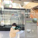 자연나눔