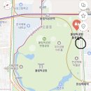 웃음길 | 10.30 굥이맘과 굥이와 펜디의 올림픽공원 들꽃마루, 코스모스 후기