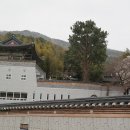 성암사, 해안사, 불곡사, 부산시립박물관 / 부산시 남구 이미지