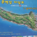 아늑펜션B민박 Daum카페