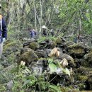 환상1리 이미지