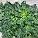 남해초등학교 이미지