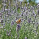 요가&매트필라테스 이미지