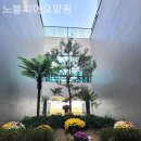노블피아 요양원 | 쾌적하고 시설좋은 노블피아요양원 솔직후기