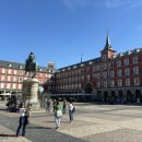 라파엘약국 | 🇪🇸스페인 신혼여행 7박 9일(6)(바르셀로나, 그라나다, 론다, 세비야, 마드리드)🍷🐙