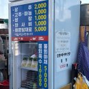 부광횟집 | 물놀이에 진심인 사람들의 고성 거진 여름휴가