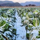 정비대장 이미지