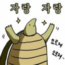 [통영]스카이라인 루지 타고온 후기 이미지