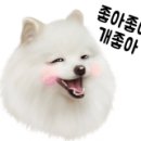 냥이네 하우스 이미지