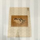 동사동솔밭-좌 | [간송문화전 5부 : 화훼영모_자연을 품다] 김지연 아나운서와 함께 꽃처럼 나비처럼 그림 속에 노닐다