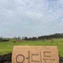 미영목장2 이미지