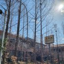 커피 레귤레이션 카페메뉴  - Latte Variation | 강남카페 알베르 | 나무 가득 대형 감성카페 후기