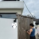 금두꺼비 민박 이미지