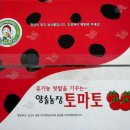 전환유기재배 대추방울토마토 판매합니다. 이미지